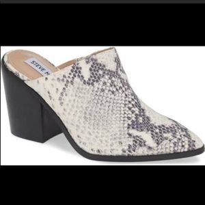 Steve Madden Savina Mule